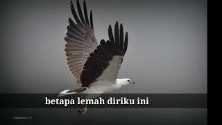 Download lagu Story wa Cover Muhasabah Cinta ||  obs.sbhaktiar mp3