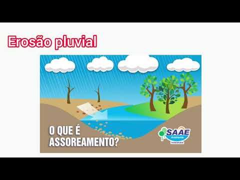 Erosão do solo, assoreamento, voçoroca