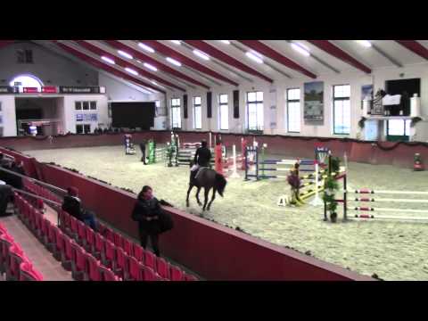 6-jährige Stute vom Casall Redefin