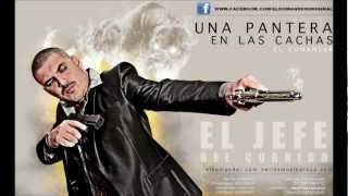 EL KOMANDER-UNA PANTERA EN LAS CACHAS