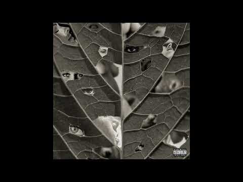 Dascar - Paparazzi Ft. Koch Woody (Prod. Viper, Rocco & Bvga)