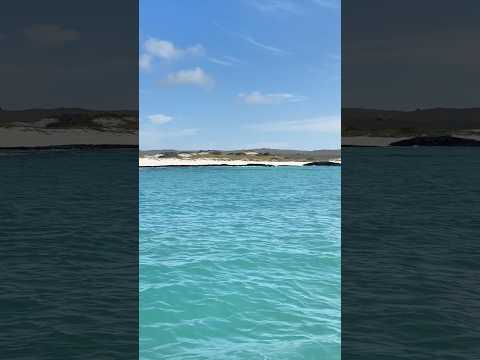 A Day in San Cristóbal Island | Galápagos Paradise