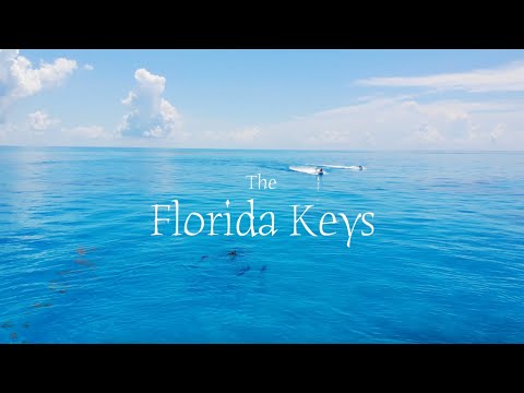 Florida Keys Relaxing Lo-Fi Music (1hr mix) - Ikson, Project AER, Laffey