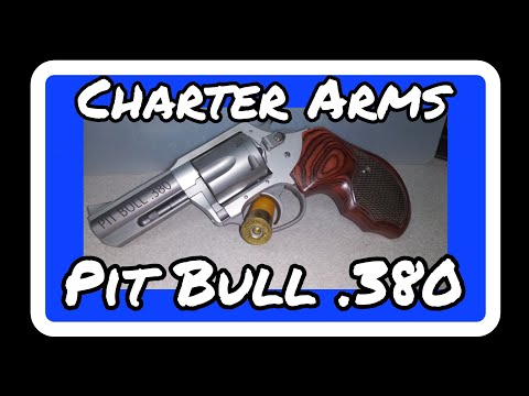 Worst Revolver Ever Made? Charter Arms Pit Bull .380 ACP Revolver - It Drew Blood - TWICE!