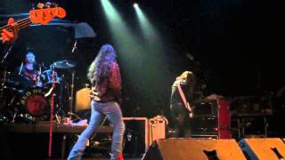 Feeder- Red Dragon Cartel