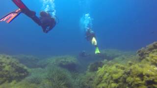 Eva's Photo Adventure dive at Xlendi Gozo Malta