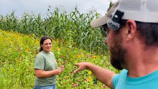 You Can Hear It Grow || Chicken Work & A Walk Through the Corn || August 2025