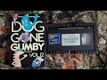 FULL VHS TAPE Doggone Gumby Volume 12 1986 Family Home Entertainment