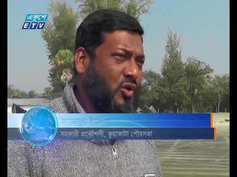 উপকূলীয় এলাকার সংরক্ষিত সবুজ বেষ্টনী দিন দিন উজাড় হচ্ছে