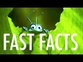 Pixar Fast Facts A Bug S Life
