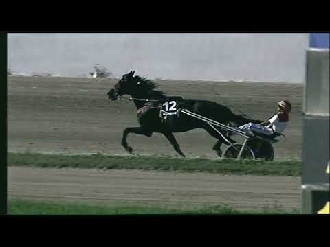 Napoli Trotto 28/10/2022 - 3ª corsa