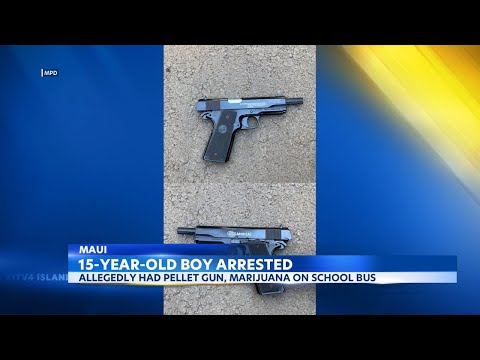 Maui teen arrested after allegedly being found with pellet gun, weed on school bus