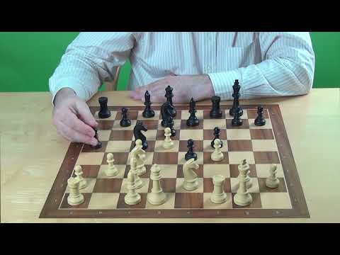 Aljechin Verteidigung Teil 2 von 5