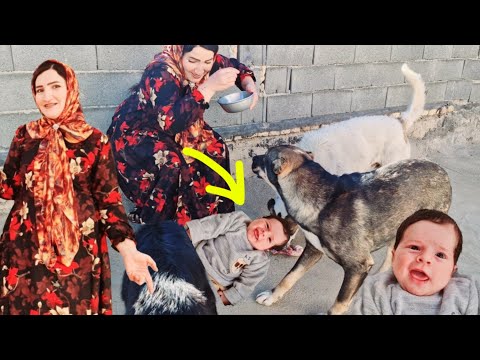 Haj Ali and Grandma's Upsetting Problems + Surprise for Nazanin! 😱🎉