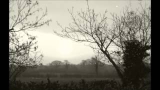 She Moves Through the Fair