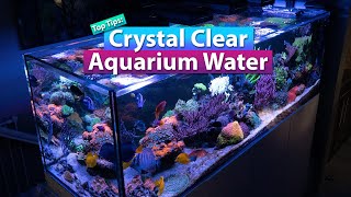 How To: Crystal Clear Aquarium Water