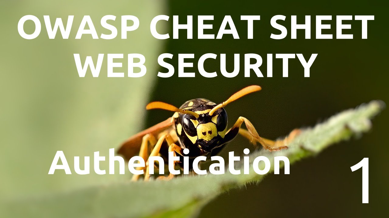 Simplifying OWASP Cheat Sheet - Authentication - part 1