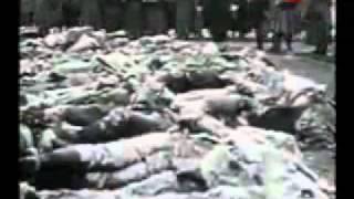 Vladimir Illitch - Michel Sardou