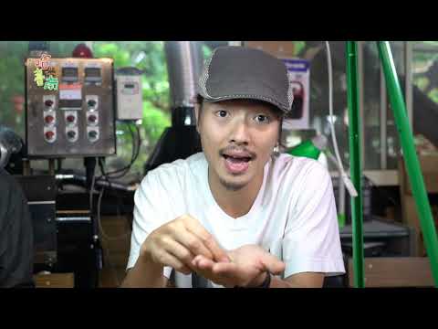 ホット台南EP11。東山のコーヒー (Hot Tainan EP11. Coffee in Dongshan)