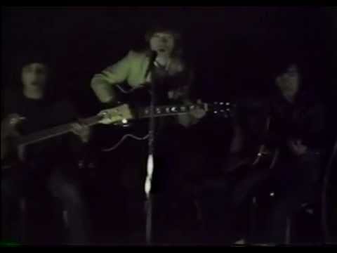 The Leopards - Don't Go Away (live in the park)