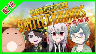 【鳥塚家でPUBG】#vtuber