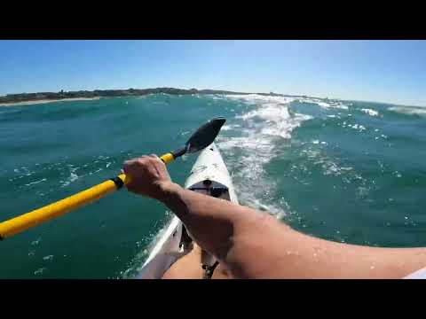 World MPA Day - 1 August 2023 - Aliwal Shoal Marine Protected Area Paddle