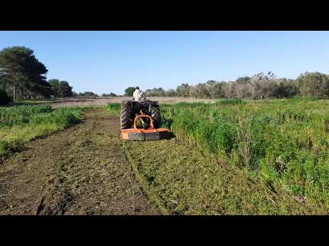 Trincia Pellerano a Martano (LE)