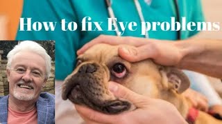 Fix Eye stains, watery, dry and red issues in dogs