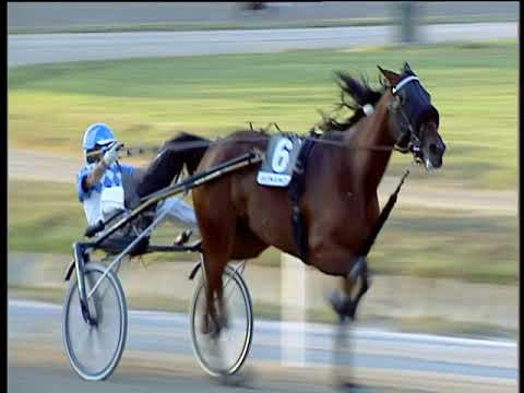 Trotto 30/09/2018 - 7ª corsa