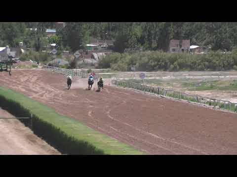 QUINTA CARRERA: 1000 metros, Premio Jorge Kletzenbauer. "14 de Noviembre 2020"