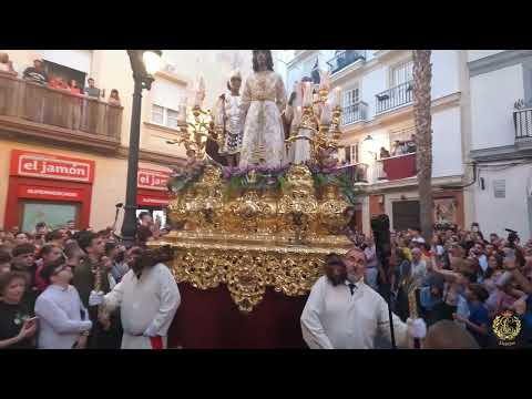 Perdónalos | Agrupación Musical Polillas Cádiz | Sentencia Magna 2022