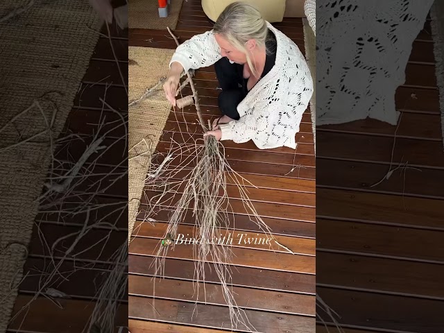 Vídeo relacionado con Witch Broom - LED Light Up Broom | Enhanced Halloween Decor & Parties | Lightweight Mesh With Built-in Lights | Perfect For Kids Witch Costumes, Themed Parties, And Indoor Outdoor Decor