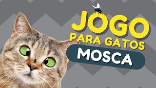 JOGO Para Gatos - A Mosca