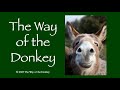 The Way of the Donkey for Kids