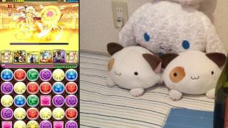 【HIROBA民むけ】パズドラ 闘技場1 雑談実況プレイ