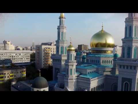 Kush vendos hajmali ka ber shirk