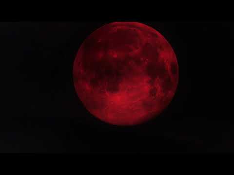 Witness21  2020 12 25