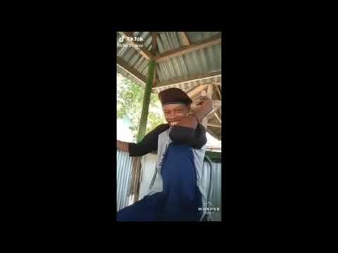 the birch has fallen