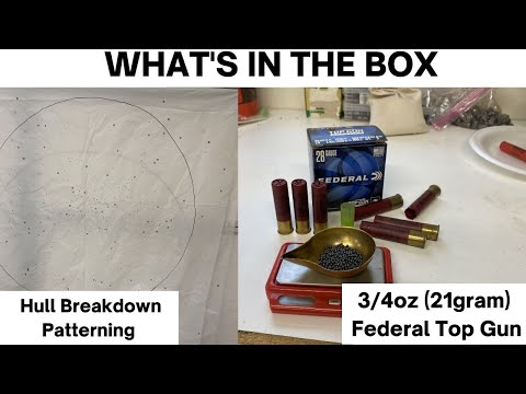 Federal .22 LR Hollow Point - Bulk Ammo Shooting Review - 7 Gun Test - WOW! - Only Two Guns Liked It