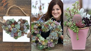 3 Valentines Day Succulent Projects 💕🌿