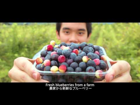 For Thailand / タイ向け