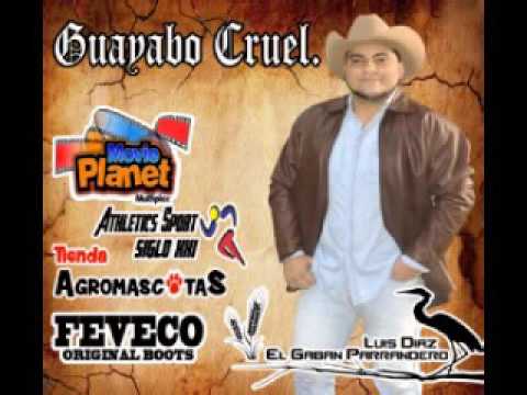 LA TRISTEZA DEL GARZON   EL GABAN PARRANDERO