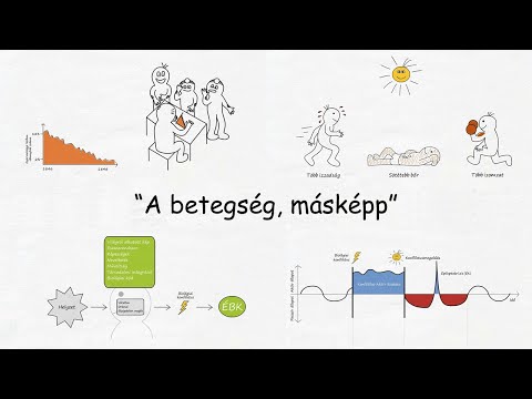 kerekférgek fejlődési ciklusa az emberben