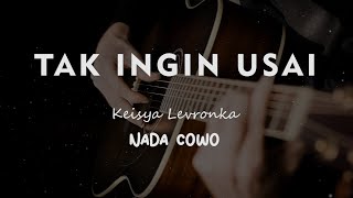 Download lagu TAK INGIN USAI Keisya Levronka KARAOKE GITAR AKUST... mp3