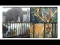 Simon Anderson - Forgive Me (Animals - Our ...