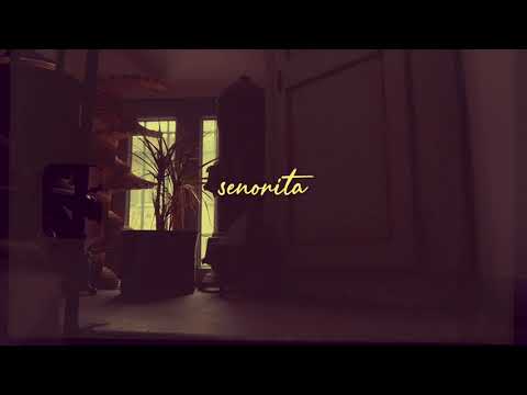 Melo, Dave - Senorita (Visual)