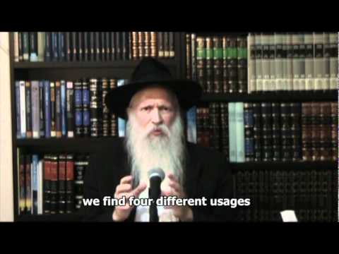 Parashat Shoftim 5771 ● District and town courts ● Rabbi Yitzchak Ginsburgh