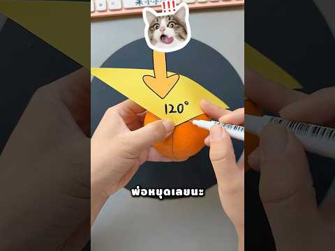 พ่อ เอาส้มของฉันมาทำไมเนี่ย!