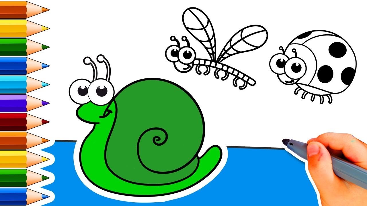 Coloring Pages Insect Collection How To Draw Color For Kids
