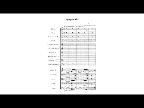 Robert Volkmann – Symphony No.1, in D minor
